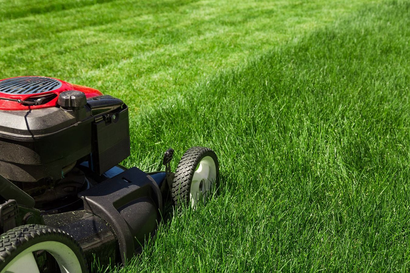 Stock image of a lawn, but I can practically smell it from here....