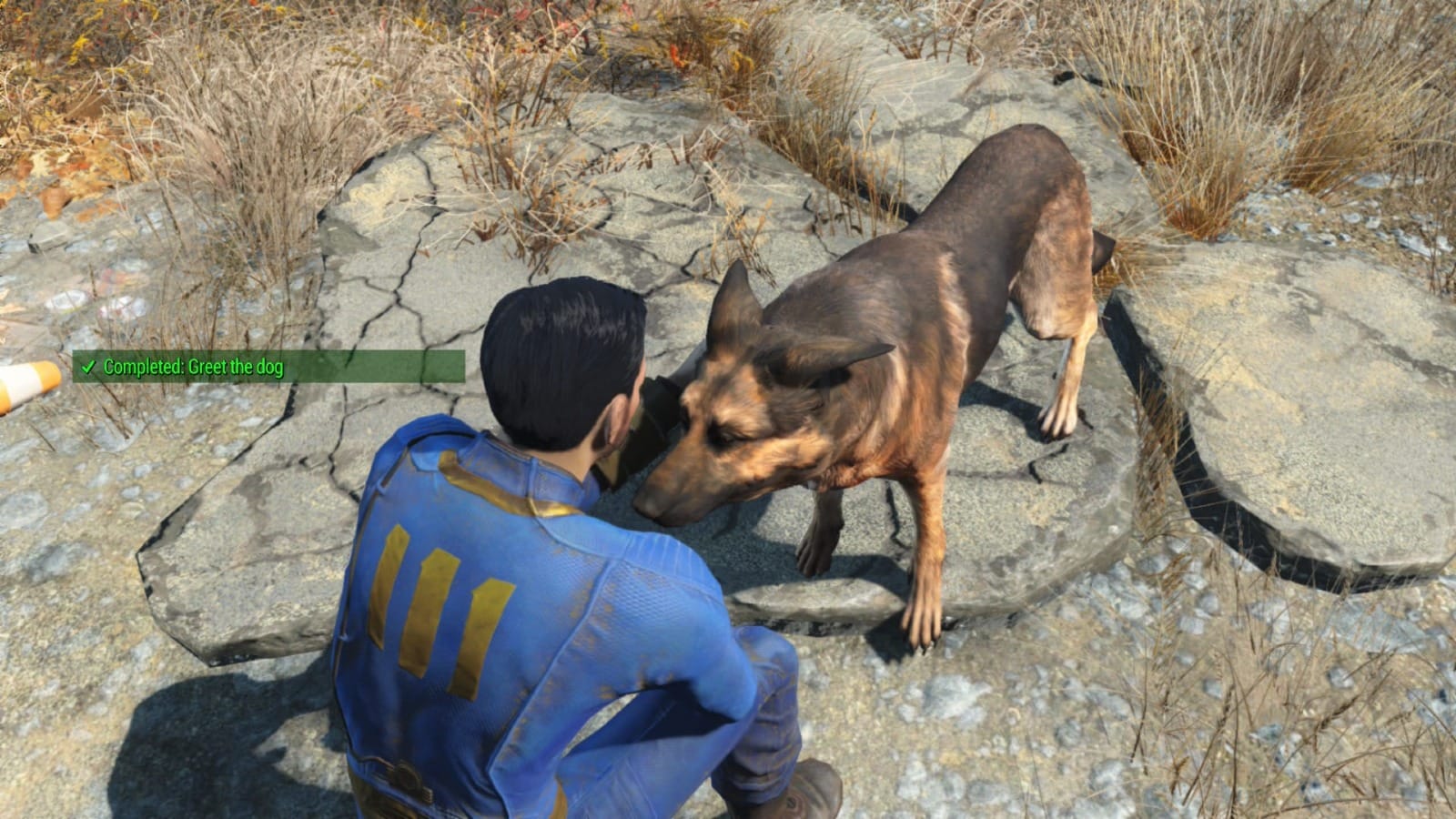 Fallout 4: Anniversary Edition for Nintendo Switch 2 impressions