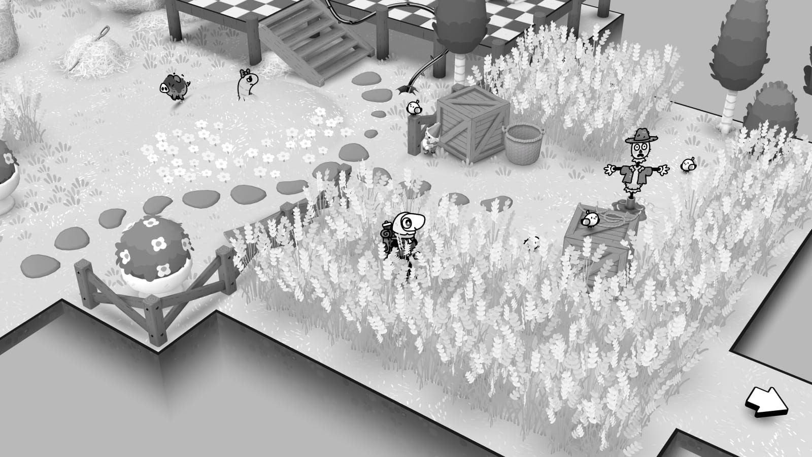 Exploring a field of wheat.