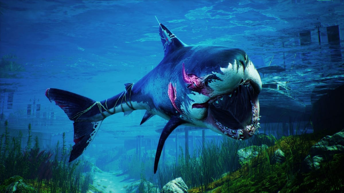 Destroy everything in your path as a mutated shark in Maneater, out now on the Nintendo Switch and Xbox Game Pass