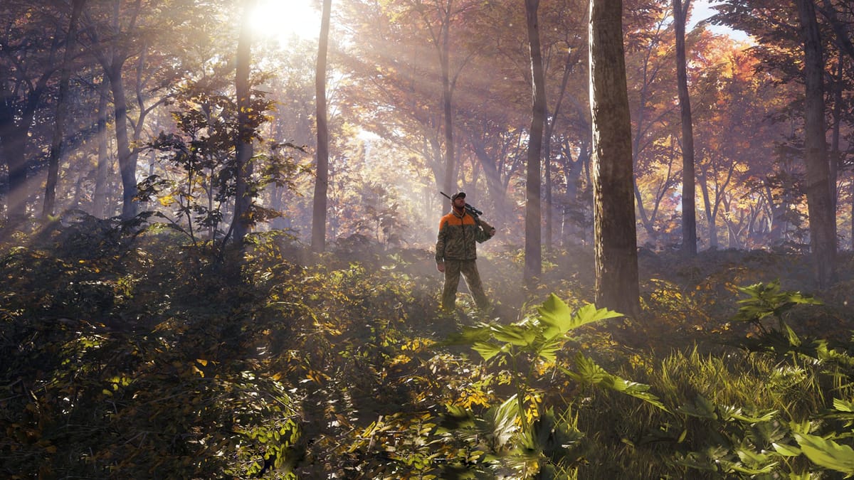 It’s hunting, seasoned — theHunter: Call of the Wild review