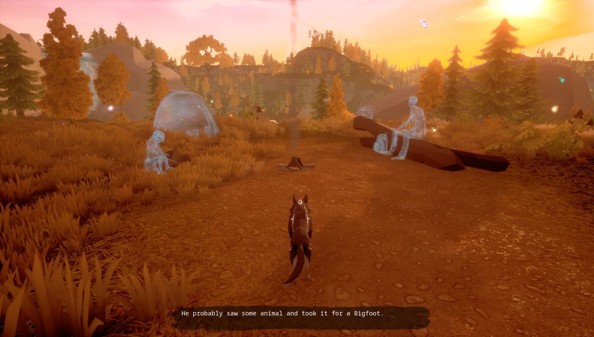 An enlightening journey through the woods — Paws and Soul review