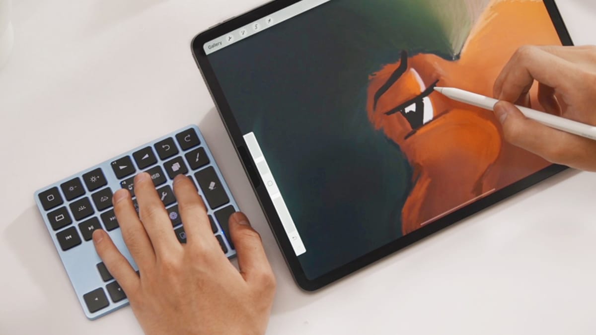 Check out a new wireless shortcut keyboard designed for Procreate Creators, the SKFP, on Kickstarter