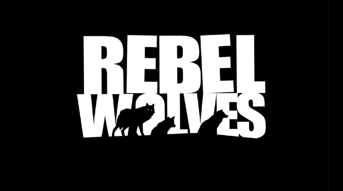 Former Witcher and Cyberpunk co-developers team up to create a new studio named Rebel Wolves and start work on a next-gen RPG