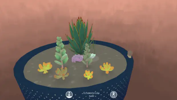 Plant it in the cold, cold ground — Viridi review