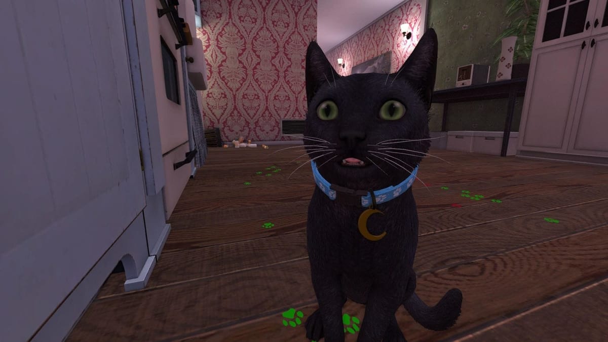 Copycat review — A heartbreaking story sure to make all animal owners hug their pets a little tighter