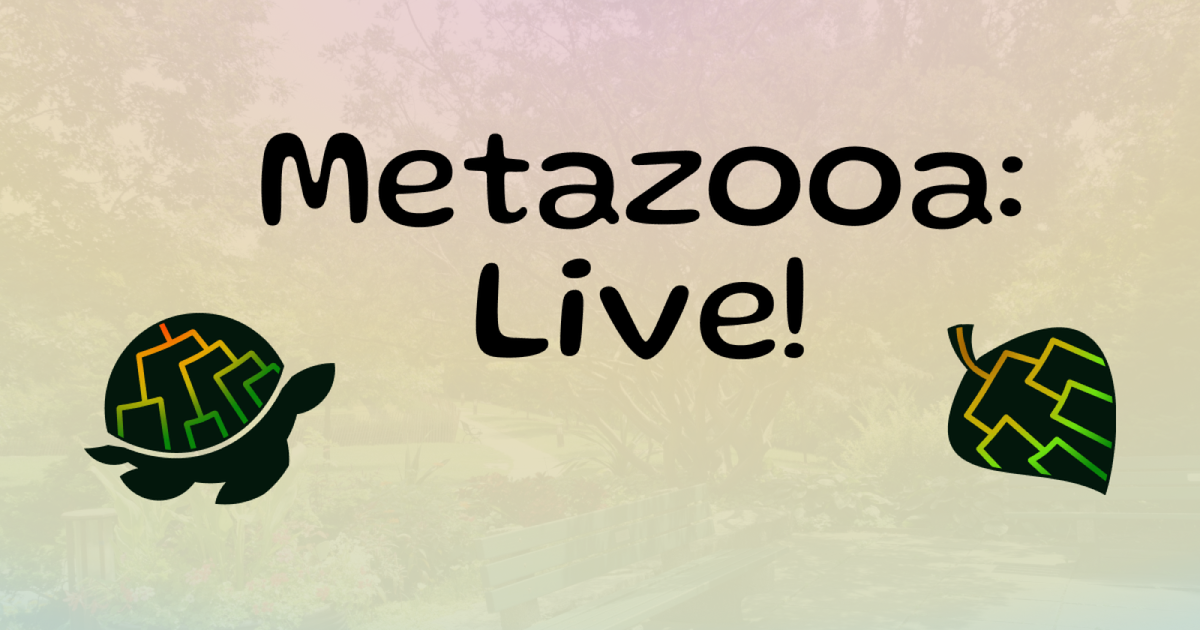 We interview: Abe Train, creator of the hit Wordle-like Metazooa