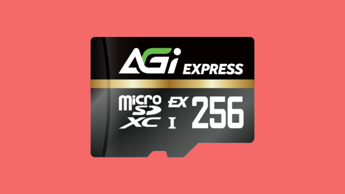 TF338 MicroSD Express 256GB review — A capable contender for Switch 2 storage