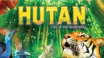 Journey into the rainforest with Hutan by The Op Games