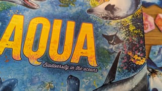 AQUA review— Don’t submerge the tiles, I tried.