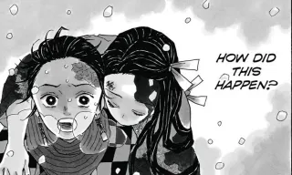 Adequate action — Demon Slayer: Kimetsu no Yaiba volume 1 review