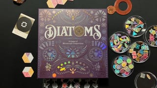 Diatoms review – What’s in your water?