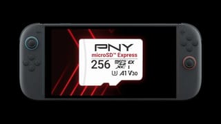 PNY reveals microSD Flash Memory Cards just in time for Switch 2