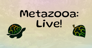 We interview: Abe Train, creator of the hit Wordle-like Metazooa