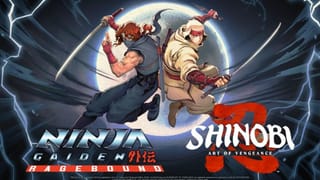 Walk the Path of the Ninja as Shinobi and Ninja Gaiden team up for a Steam bundle