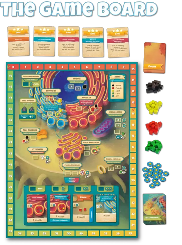 Crazy Eights: John Coveyou on Cytosis: A Cell Biology Board Game