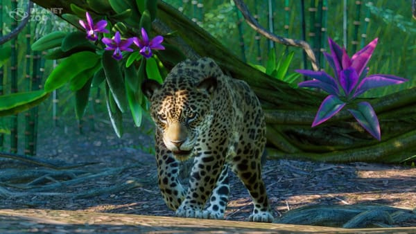 Jaguars, llamas and giant anteaters oh my! Planet Zoo, The South America Pack is now available