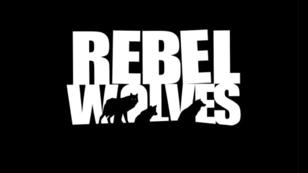 Mateusz Tomaszkiewicz, former Witcher and Cyberpunk dev, joins Rebel Wolves