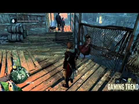 AC IV Black Flag Hilarious Bug