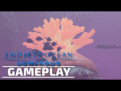 Endless Ocean Luminous Gameplay - Switch [GamingTrend]