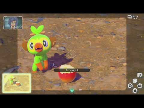 New pokemon snap footage for review