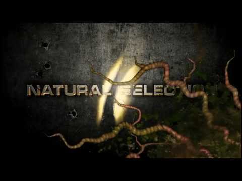 Natural Selection 2 Free Weekend