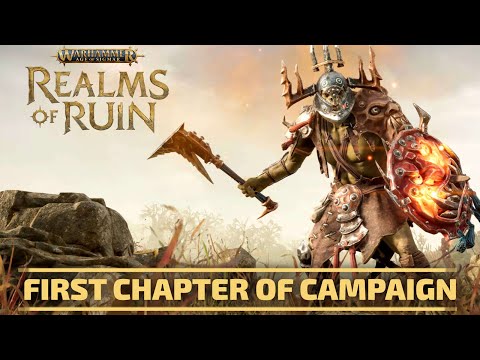 Warhammer 40000 Age of Sigmar Realms of Ruin Let&#039;s Play Chapter 1