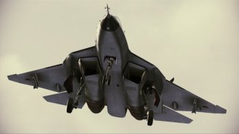 acah_pak-fa_005