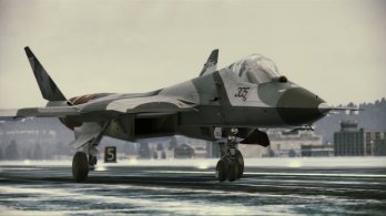 acah_pak-fa_008