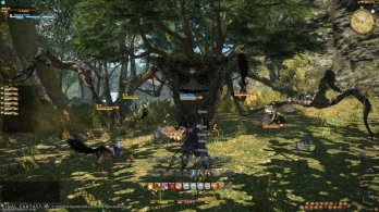 Final Fantasy XIV_ A Realm Reborn - 22