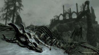 dragonskeleton