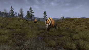 Lord of the Rings Online Update 11