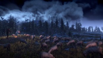 4_The_Witcher_3_Wild_Hunt_Sheep