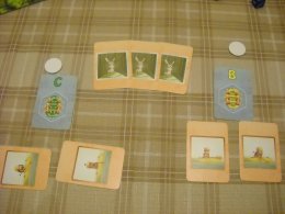 Whitewater - A Player's Cards