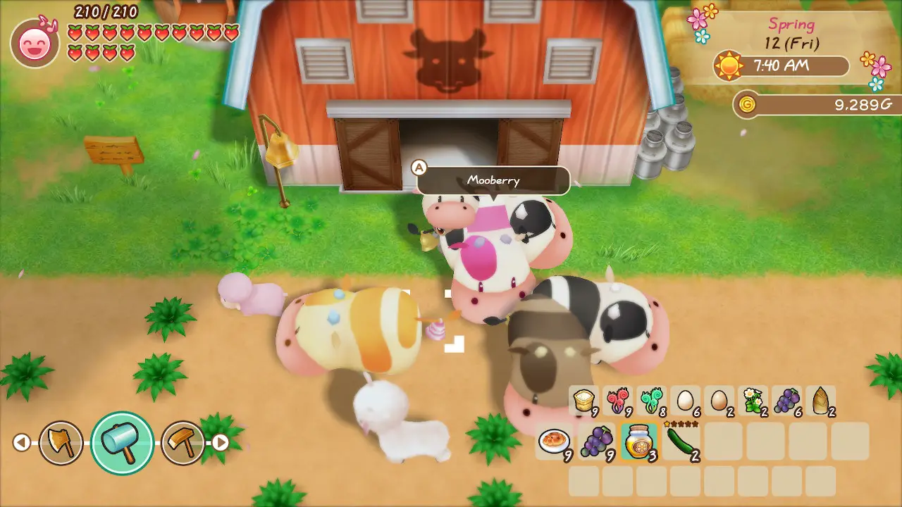 Love and Friendships  Story of Seasons: Friends of Mineral Town