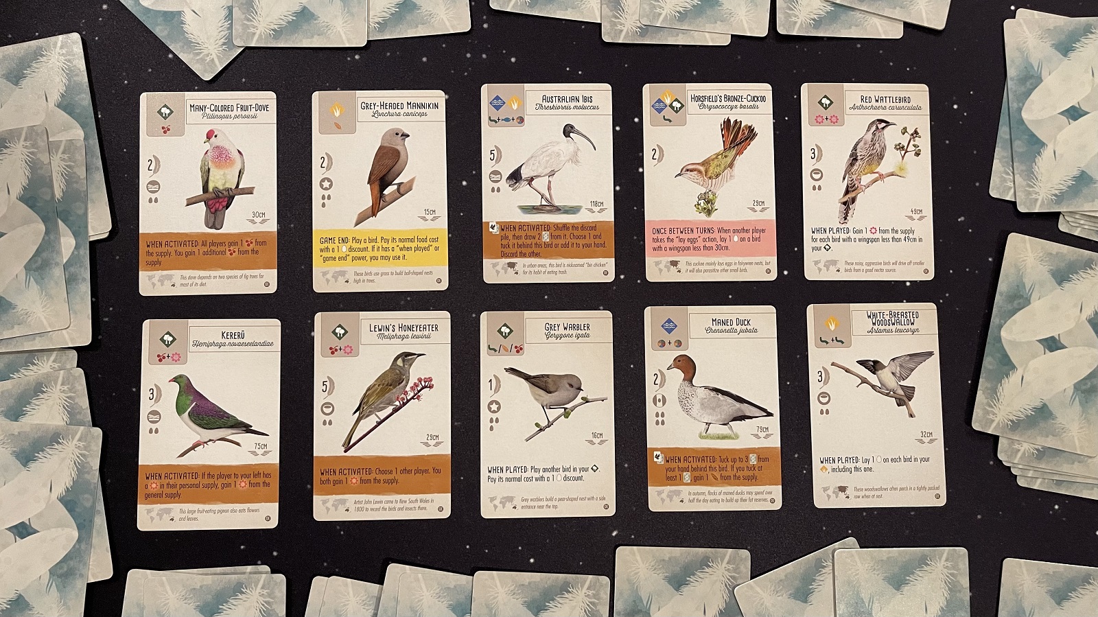 Wingspan Oceania Expansion review — A sweet addition Wingspan