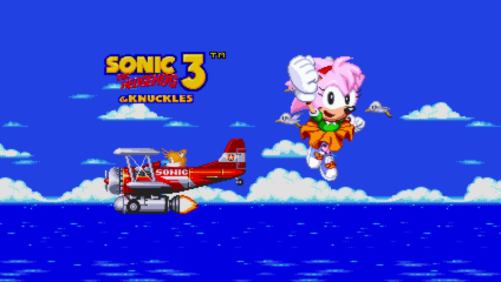 Sonic 3 Complete Review - The full Sonic 3 package? 